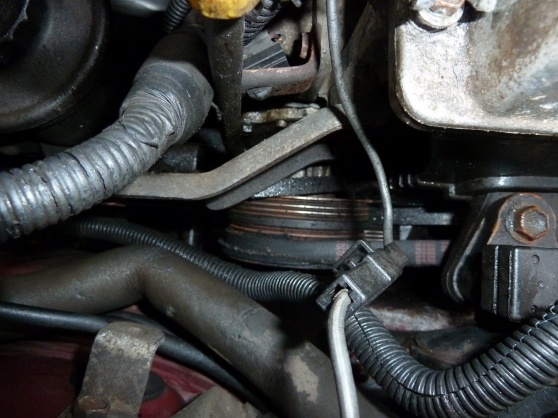 Corolla 9-22-11 2.jpg