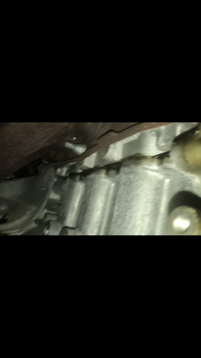 03BC5882-24C7-42D9-914C-5D15A00D9007.png