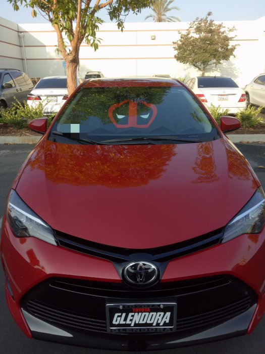 Corolla Melisandre.jpeg