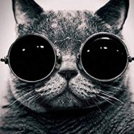 zeffcat