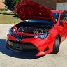 RedRolla101