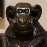 Ronchai